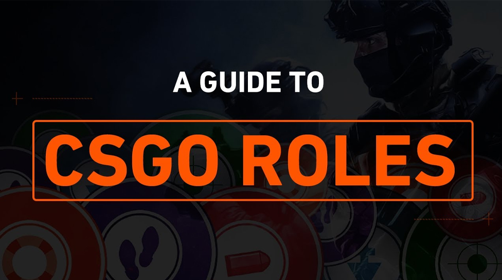 Roles in CS:GO