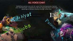 How to communicate effectively in Dota 2