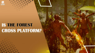IS THE FOREST CROSS-PLATFORM?
