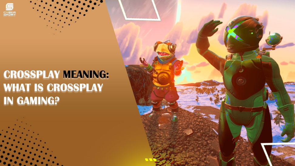 CROSSPLAY MEANING: WHAT IS CROSSPLAY IN GAMING?