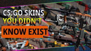 CS:GO SKINS YOU DIDN'T KNOW EXIST