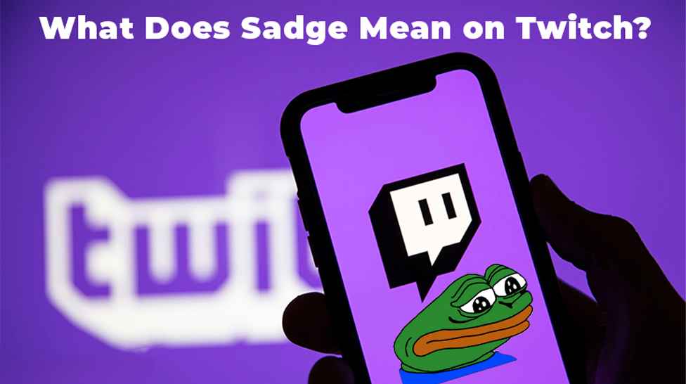 WHAT DOES THE SADGE TWITCH EMOTE MEAN?