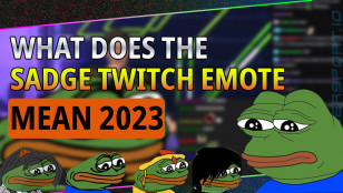 WHAT DOES THE SADGE TWITCH EMOTE MEAN?