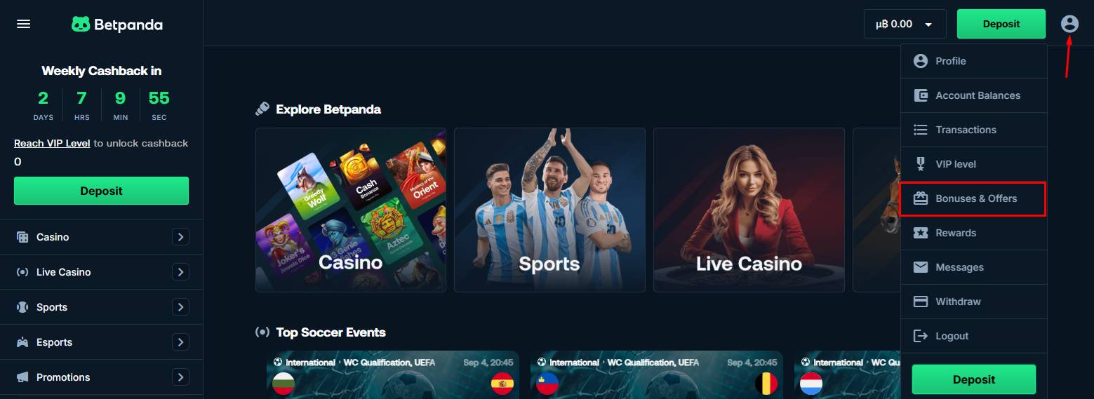 BetPanda Casino Review & Promo Code: 100% Deposit Bonus up to 1 BTC