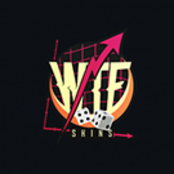 WTFSkins promo code