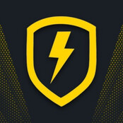RapidSkins promo review