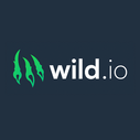 Wild.io Casino Bonus Review