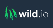 Wild.io Casino Bonus Review